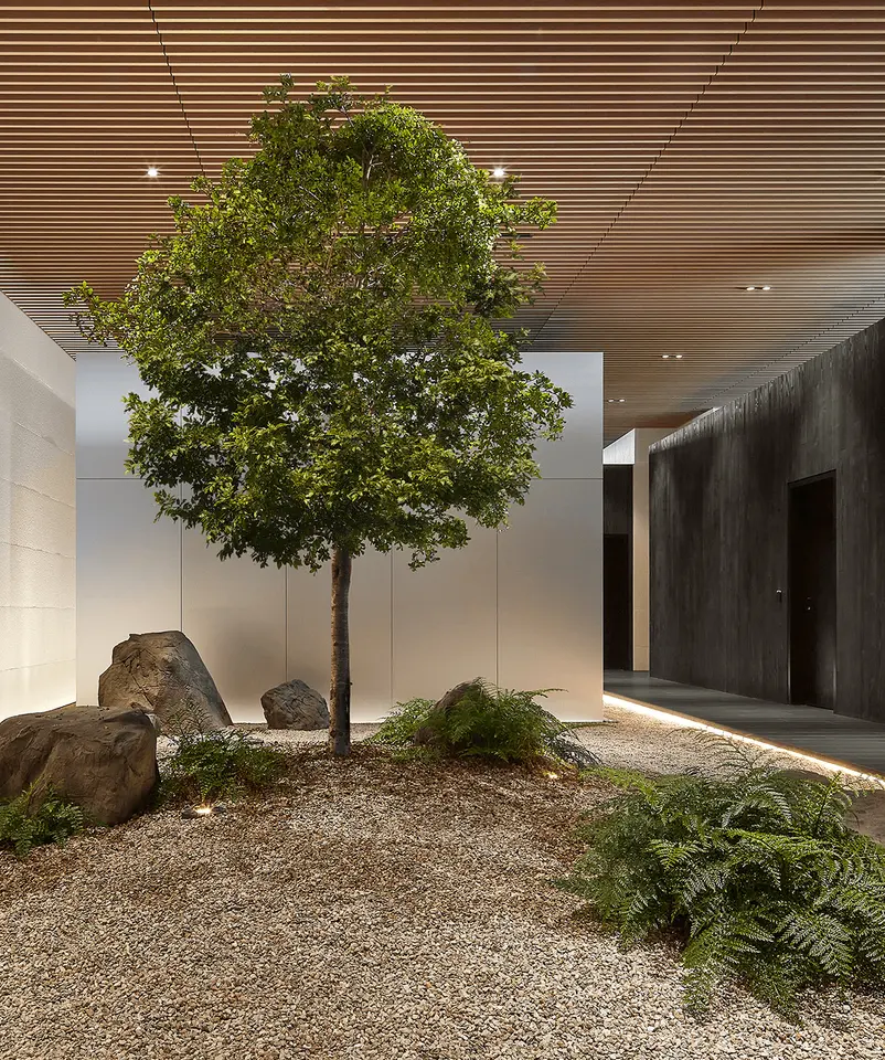 Indoor garden with a tree, rocks and ferns under a wood ceiling at Biograph New York