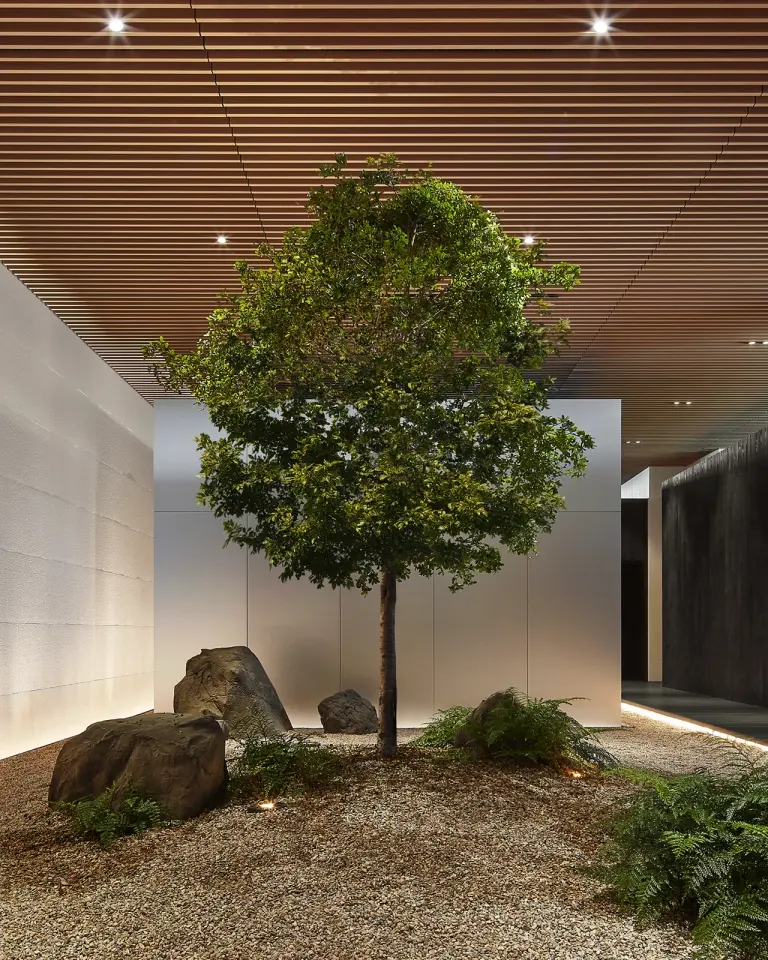 Indoor garden with a tree and boulders under a wood-slat ceiling at Biograph San Mateo