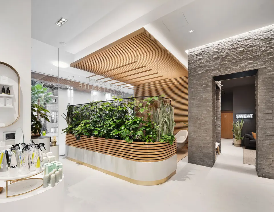 Retail floor with planted reception counter and wood-slat ceiling at Clean Market FiDi