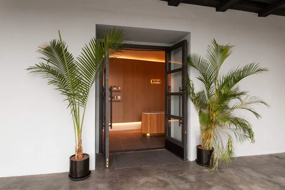 Entrance doors flanked by potted palms at Pause Studio Studio City